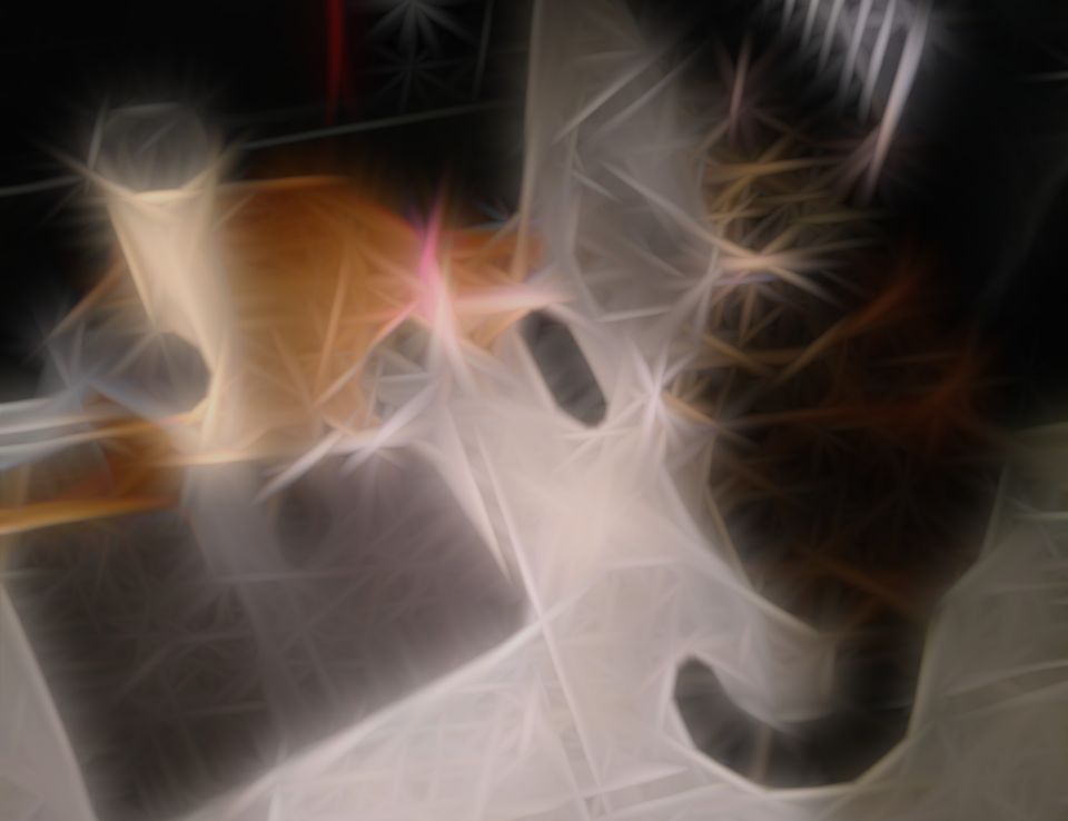 Twiggy and Laylah, two cats, sitting beside a cat tree.
             Both are playing.