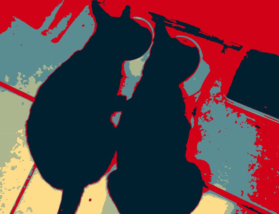 Two black cats eating. Edited to look similar to the 2008
             Obama, 'Hope,' poster.