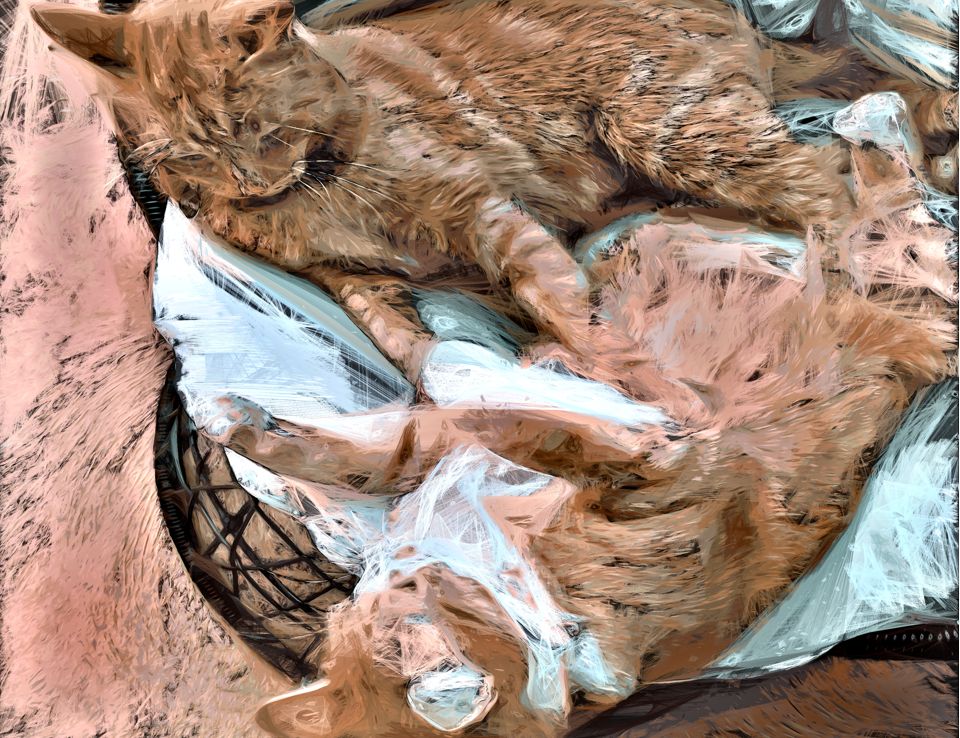 An image of Laylah and Garfield, both orange cats, fighting over who can lay on a gardening chair.