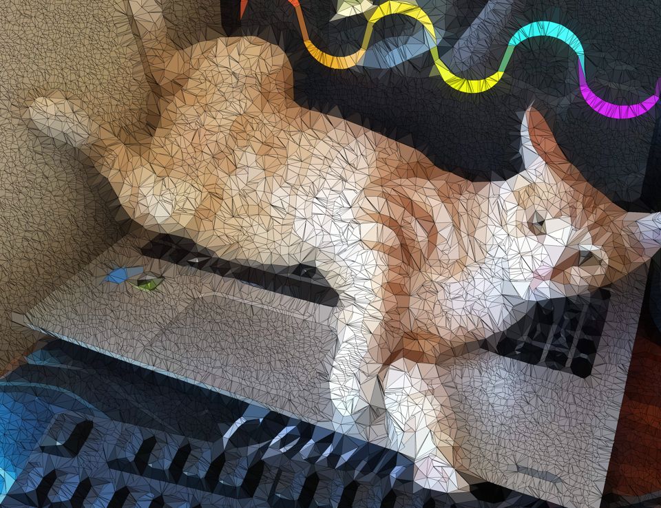 An image of Laylah, and orange cat, as a kitten. She is laying on top of a laptop.