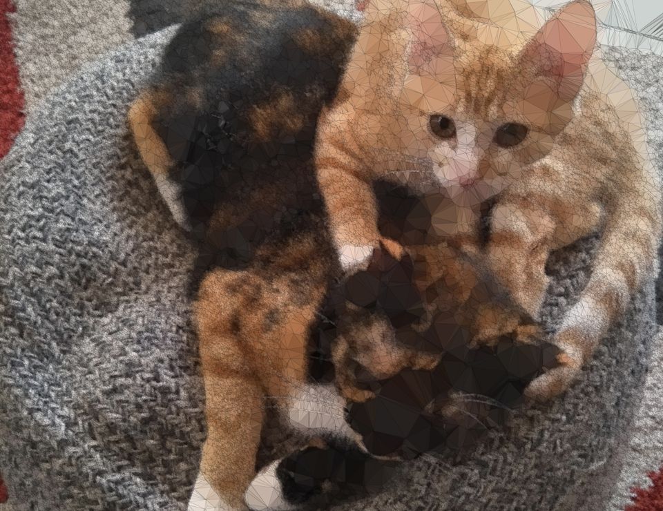 Twiggy is laying on top of an ottoman while laylah
             is laying on top of Twiggy.