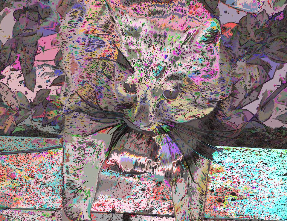 Sora, a tuxedo cat, laying in the garden. The image is heavily distorted.
