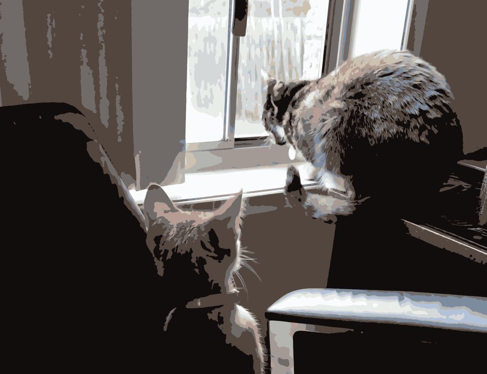 Twiggy looking intensly out a window. Laylah looking at her
             with curiosity.